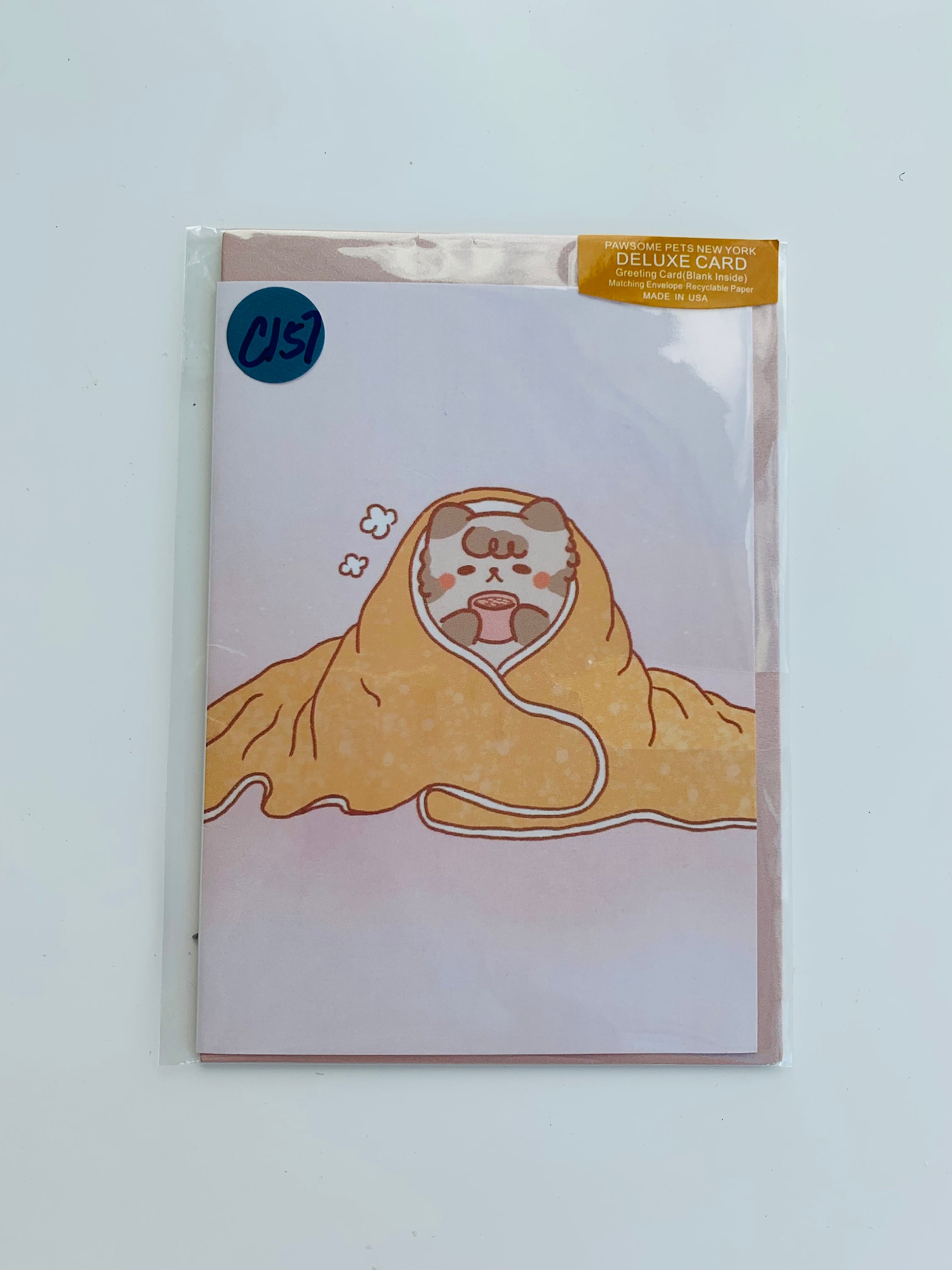 PETS GREETING CARD - #216 featuring a hand-painted design, folded card on smooth white cardstock with a craft envelope.