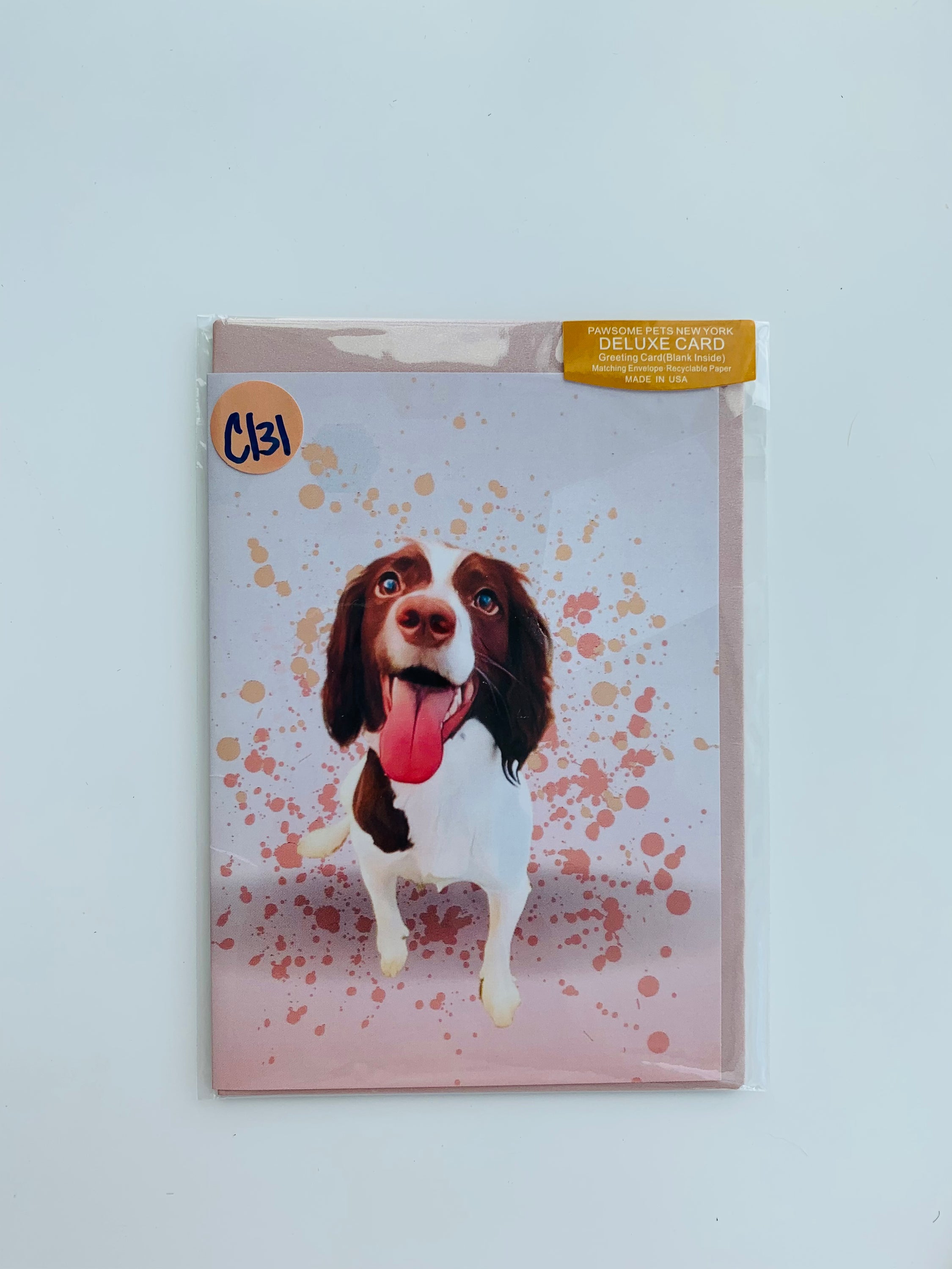 PETS GREETING CARD - #233 featuring a hand-painted design, folded card on smooth white cardstock with a craft envelope.