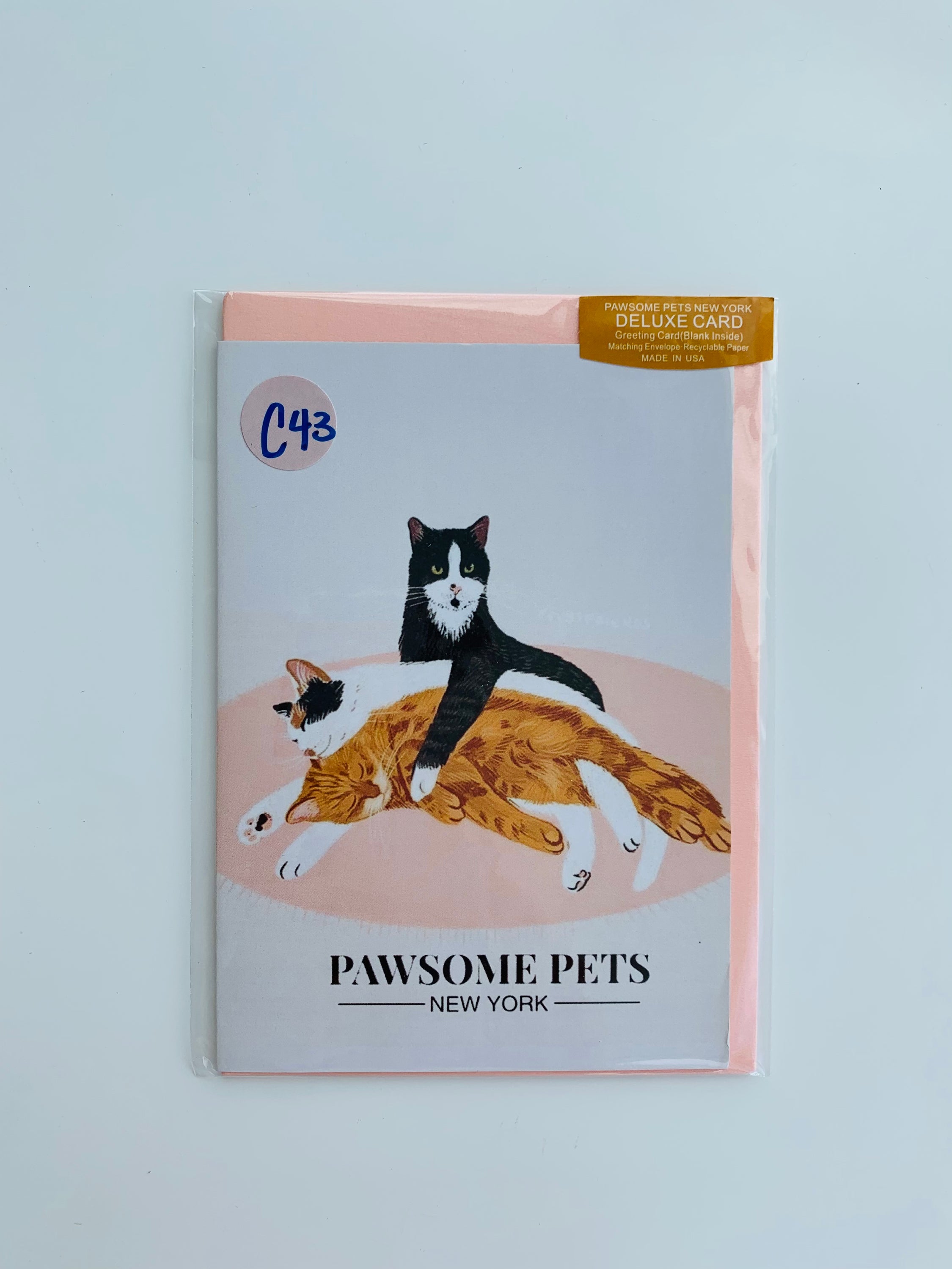 PETS GREETING CARD - #231 featuring hand-painted pet design on smooth white cardstock with a craft envelope.