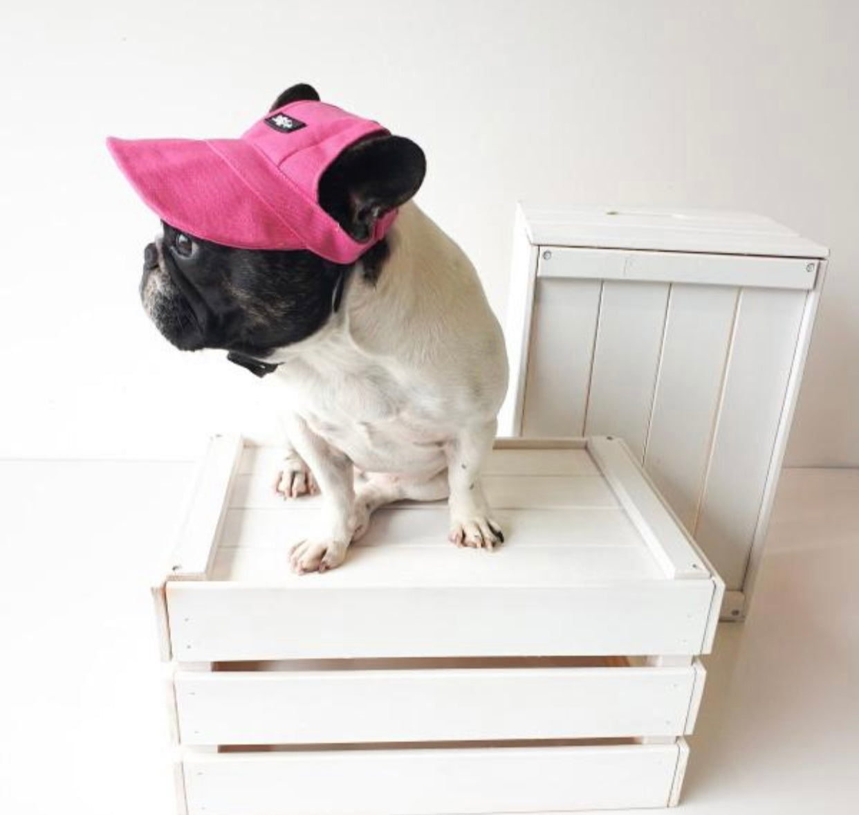 A stylish pink hat designed for dogs, featuring a comfortable fit and adjustable chin strap, perfect for sun protection.