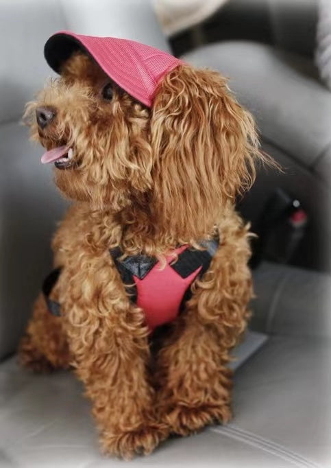 A stylish pink hat designed for dogs, featuring a comfortable fit and adjustable chin strap, perfect for sun protection.