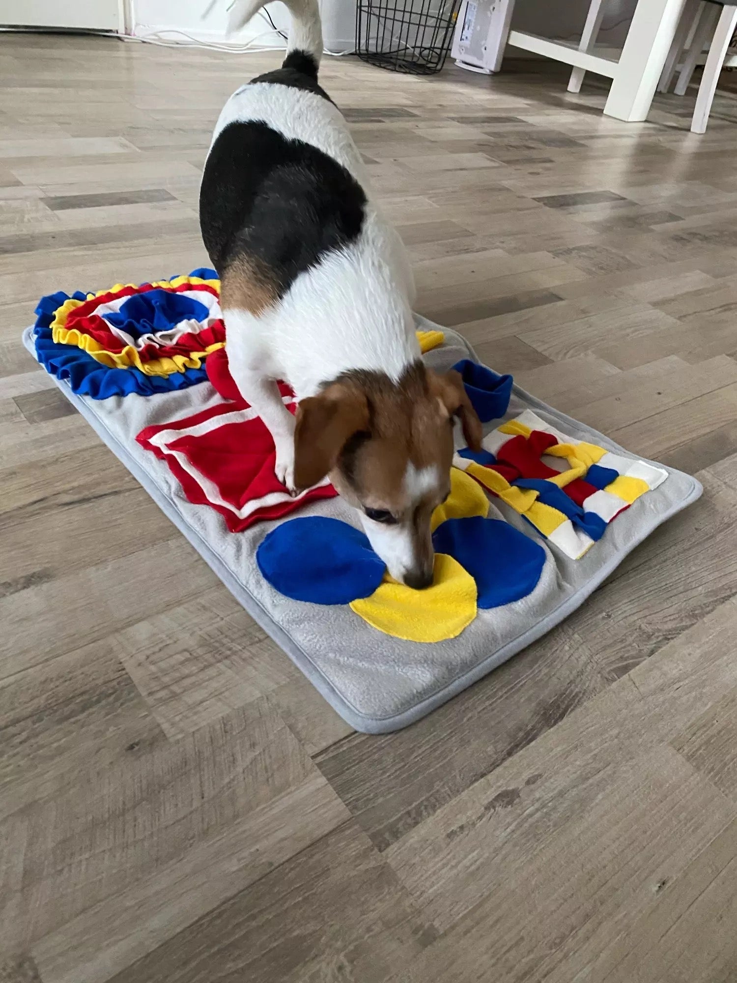 A colorful snuffle mat designed for pets, featuring various textures and hiding spots for treats, promoting mental stimulation and slow feeding.