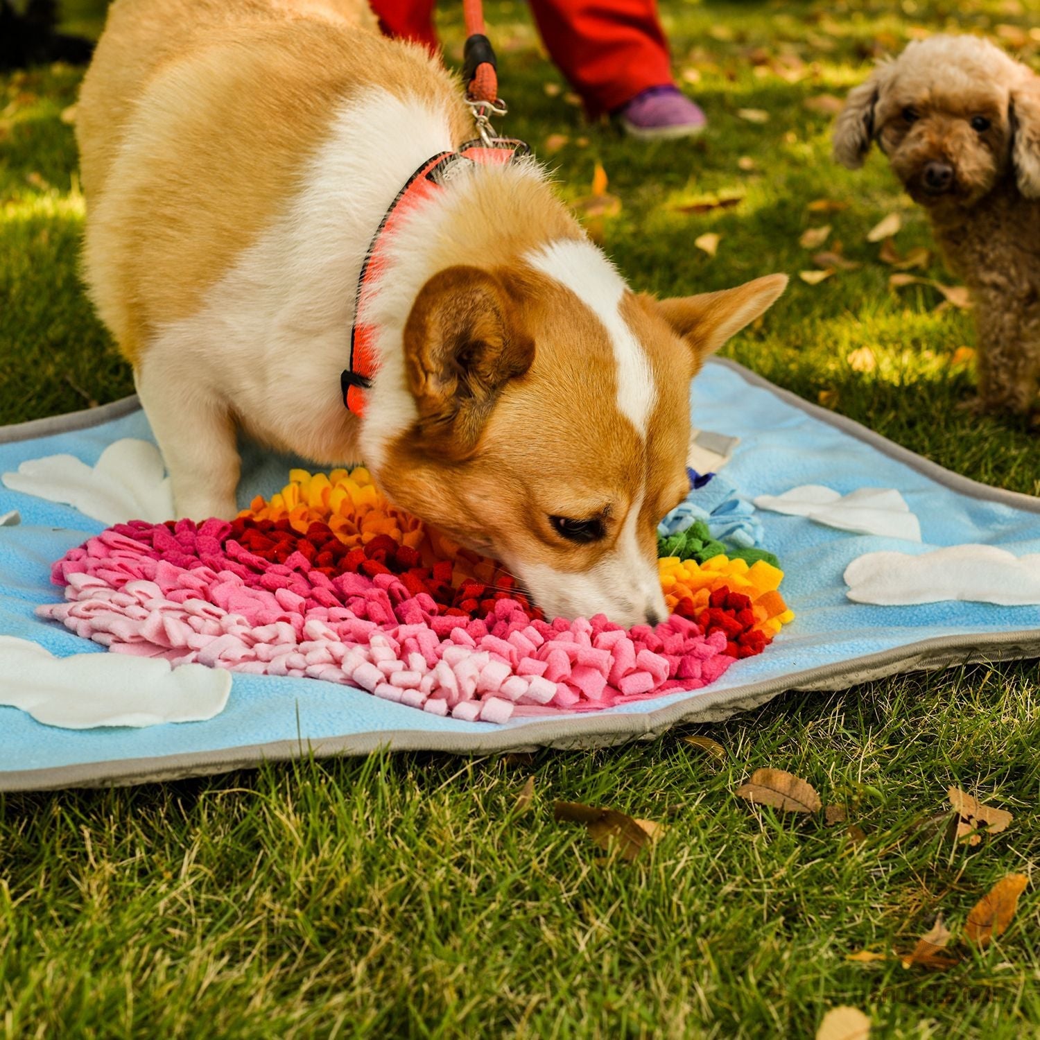 Colorful Pets Puzzle Toys Snuffle Mat in Hot Air Balloon design, ideal for engaging pets in mental and physical activities.
