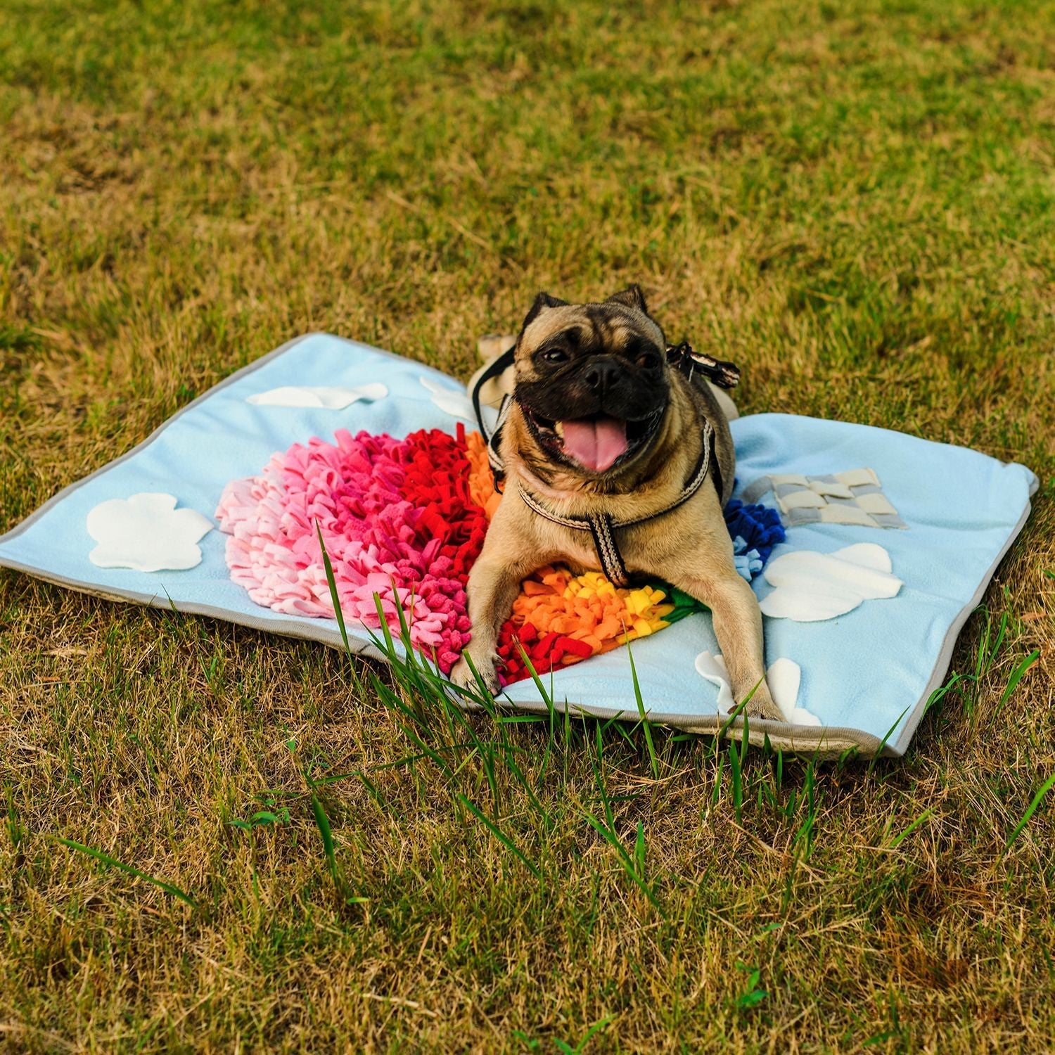 Colorful Pets Puzzle Toys Snuffle Mat in Hot Air Balloon design, ideal for engaging pets in mental and physical activities.