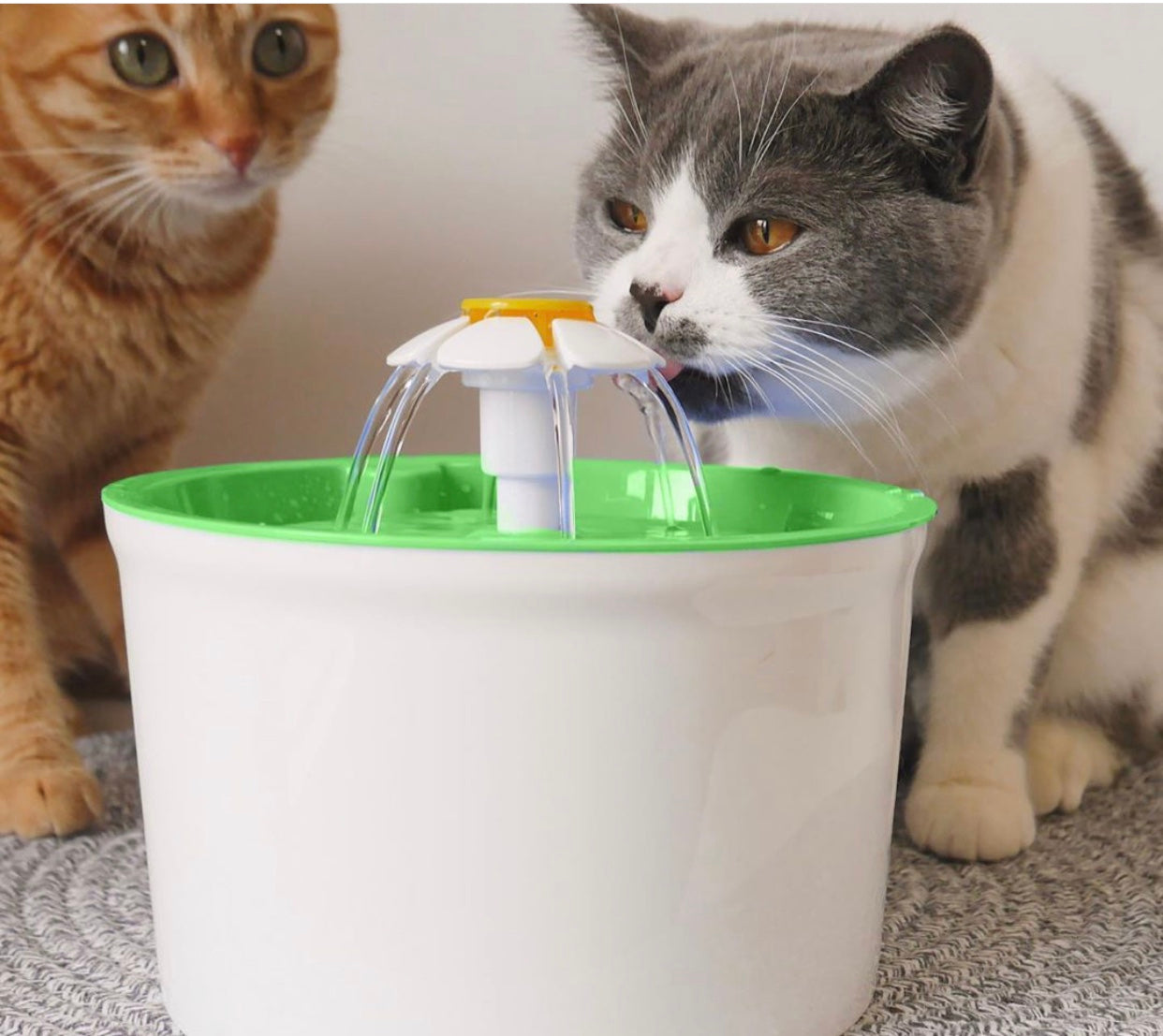 A stylish and functional Pets Water Fountain designed for optimal hydration, featuring a flowing water stream and a carbon-activated filter.