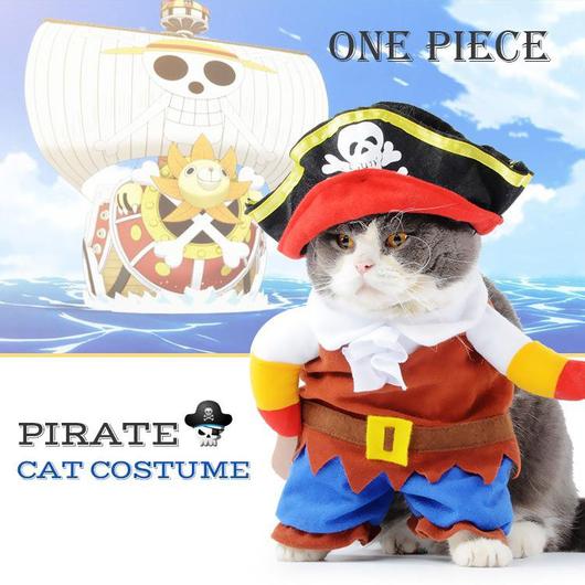 A playful cat dressed in a pirate costume featuring a hat and vest, ready for adventure.