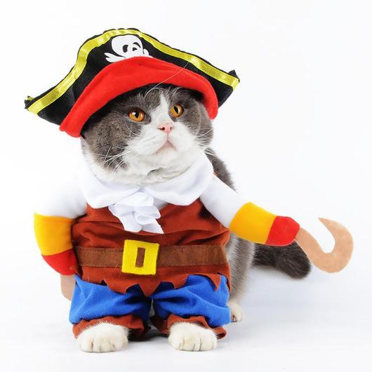 A playful cat dressed in a pirate costume featuring a hat and vest, ready for adventure.