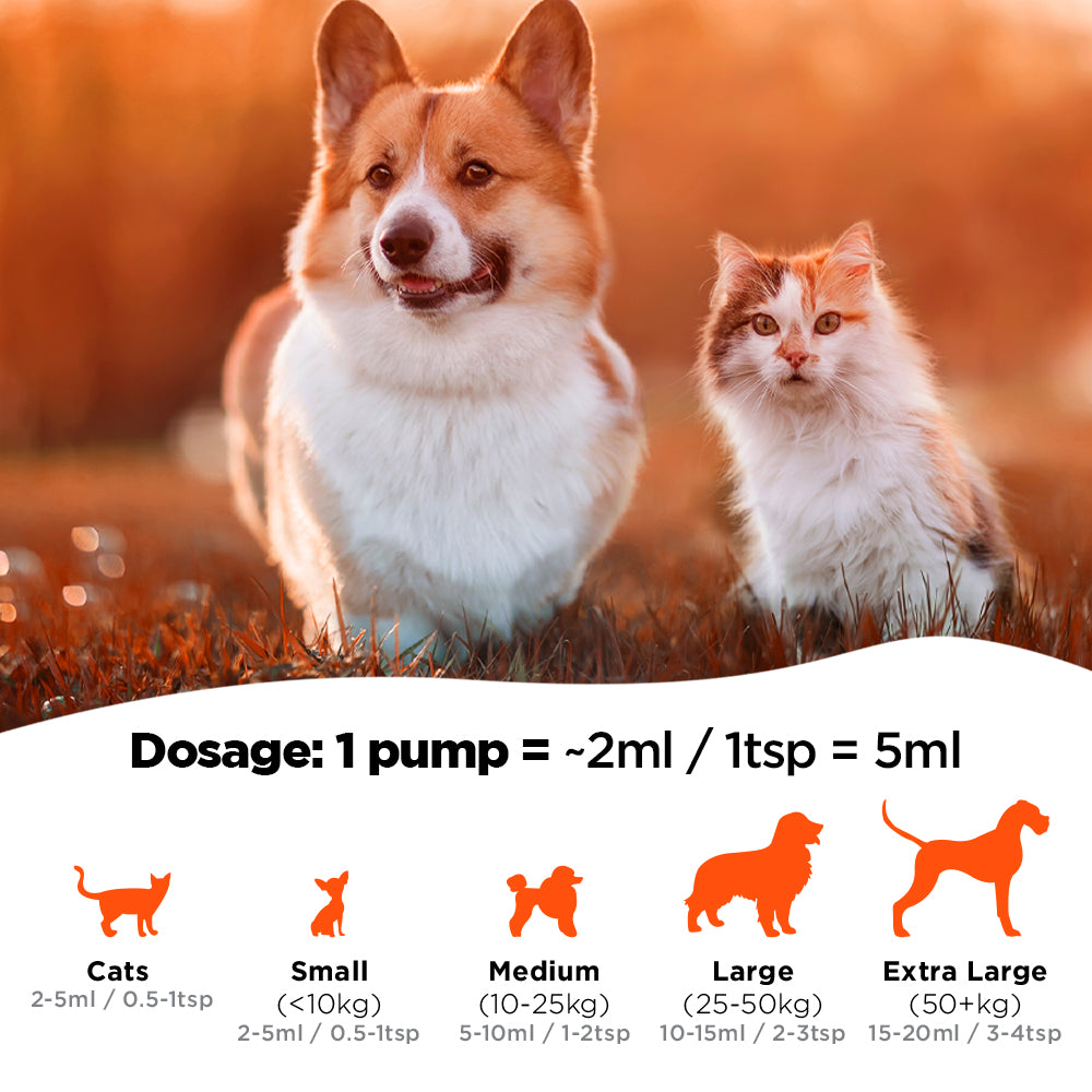 Pooch & Purr Salmon Oil 500ml bottle, a natural dietary supplement for dogs and cats, promoting health and wellbeing.