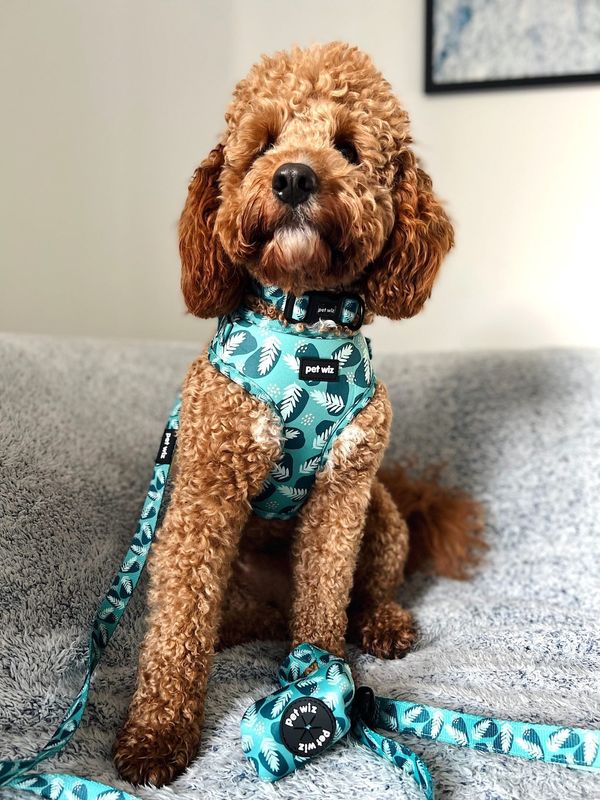 Stylish poop bag holder featuring five unique patterns, designed for convenience and easy access during dog walks.