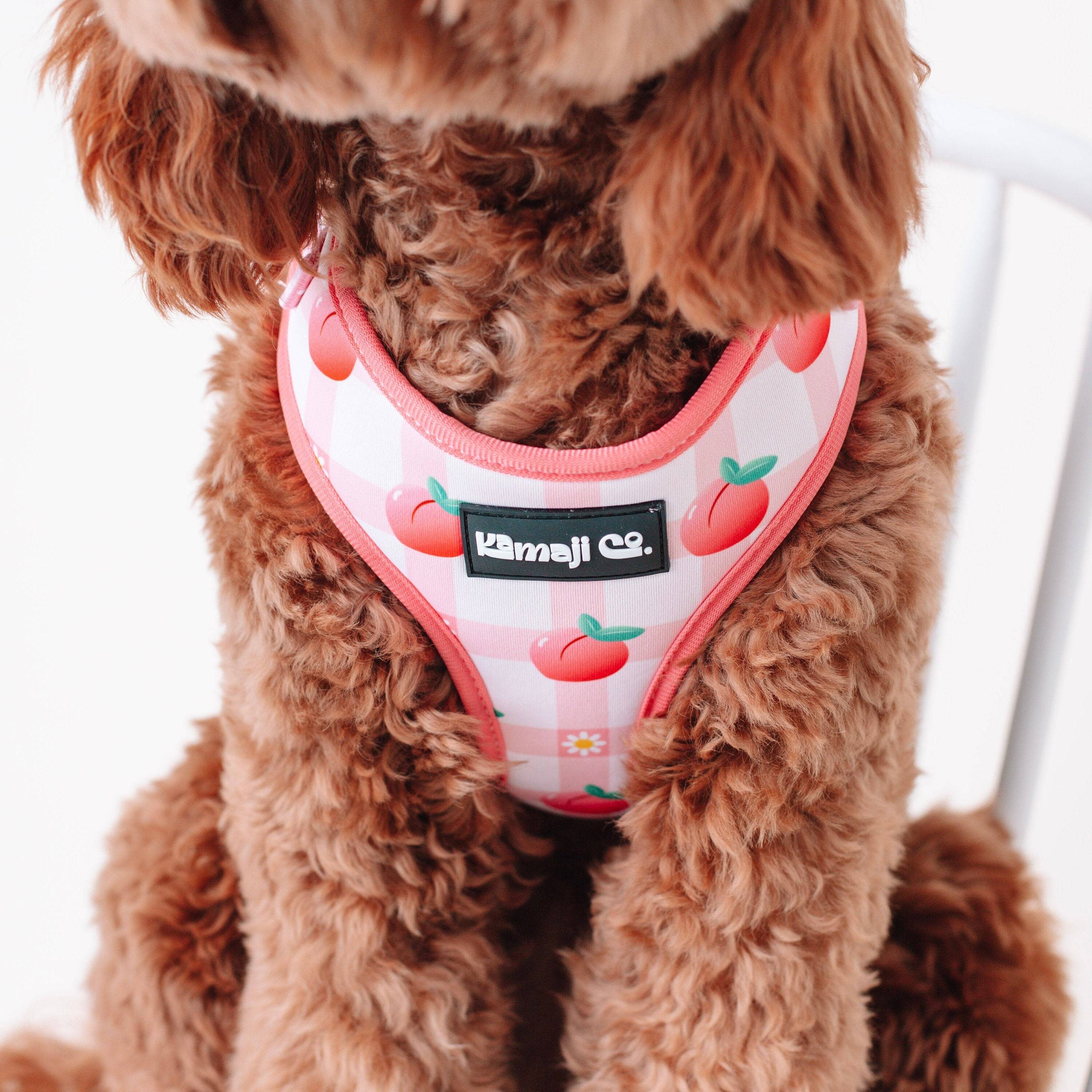 Precious Peach Adjustable Harness for dogs, featuring soft neoprene fabric and adjustable straps for comfort and style.