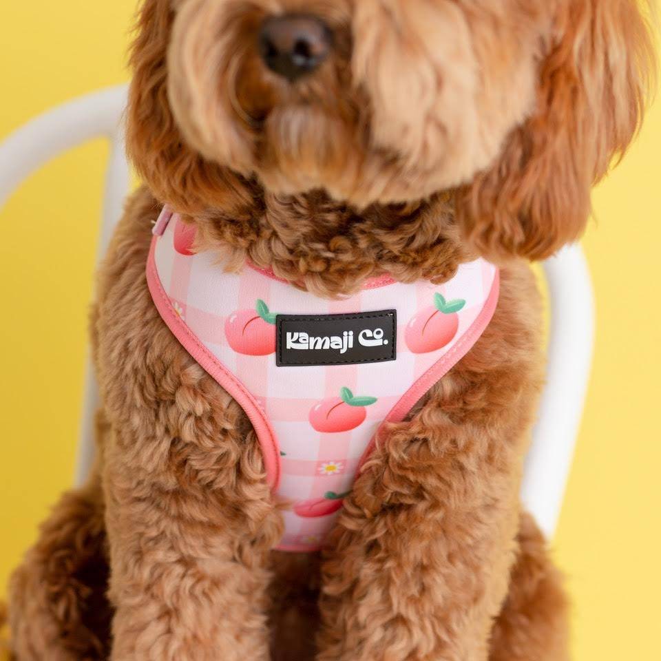 Precious Peach Adjustable Harness for dogs, featuring soft neoprene fabric and adjustable straps for comfort and style.