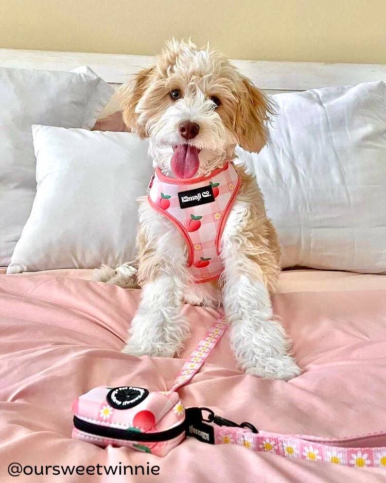 Precious Peach Adjustable Harness for dogs, featuring soft neoprene fabric and adjustable straps for comfort and style.
