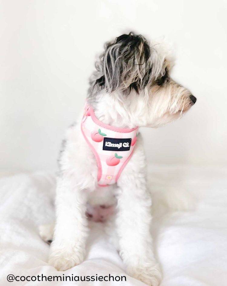 Precious Peach Adjustable Harness for dogs, featuring soft neoprene fabric and adjustable straps for comfort and style.