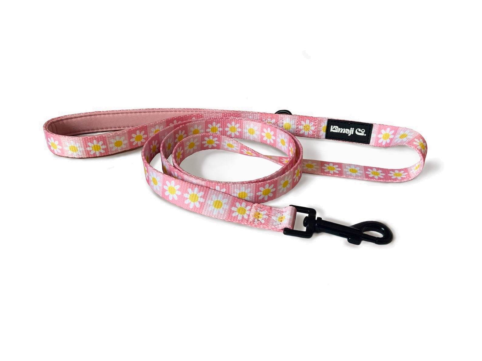 Precious Peach Daisy Leash featuring a padded handle, D-ring for poo bags, and durable metal trigger snap, designed for stylish dog walks.