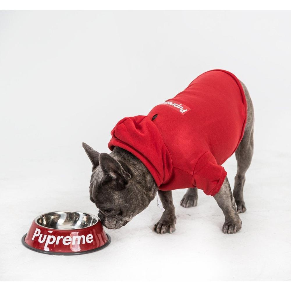 A stylish Pupreme Box Logo Hoodie for dogs, featuring a trendy logo print on the front and back, designed for urban fashion.