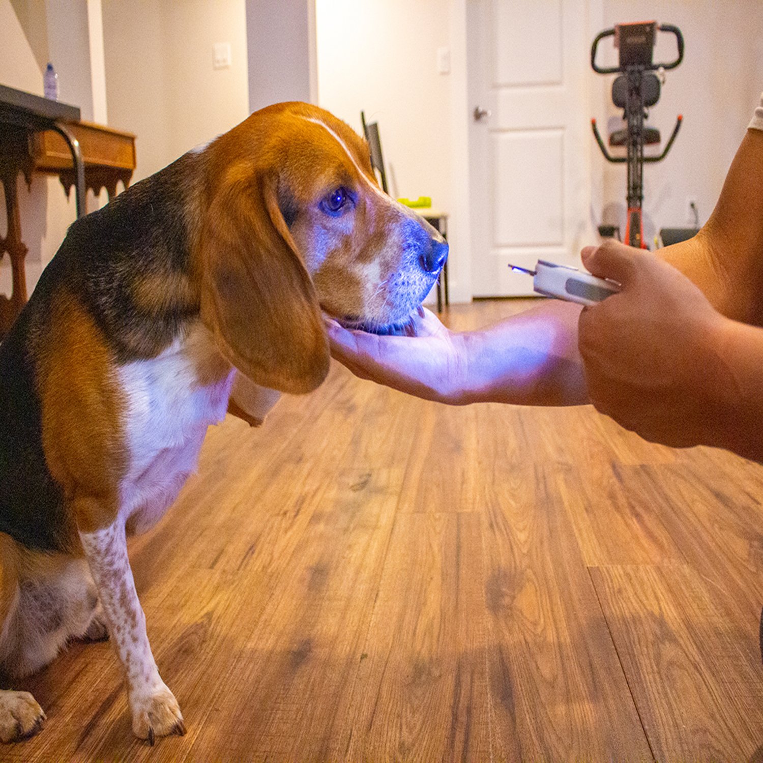 Pureclip LED Clipper in grey with ergonomic design and built-in LED light for safe pet nail grooming.