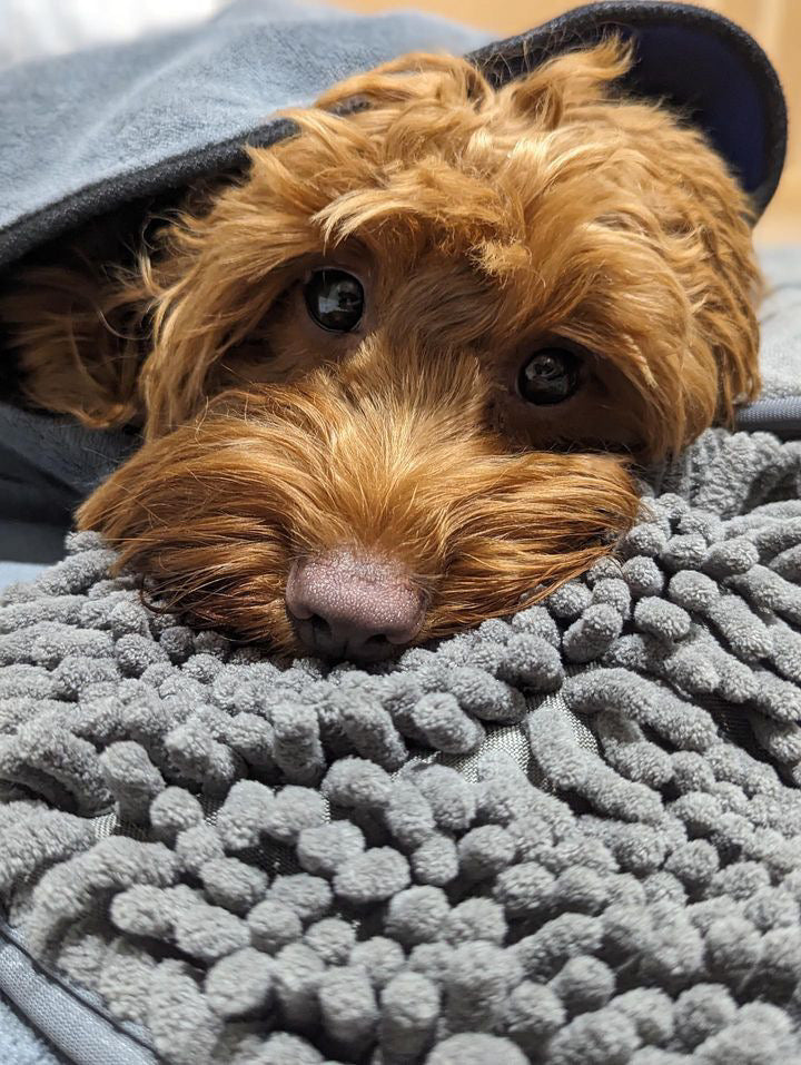Quick Drying Microfibre Noodle Towel with hand compartments for easy dog drying.