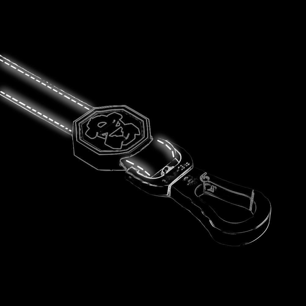 Quotation Mark Leash featuring a neoprene padded handle and reflective strips, designed for style and durability.