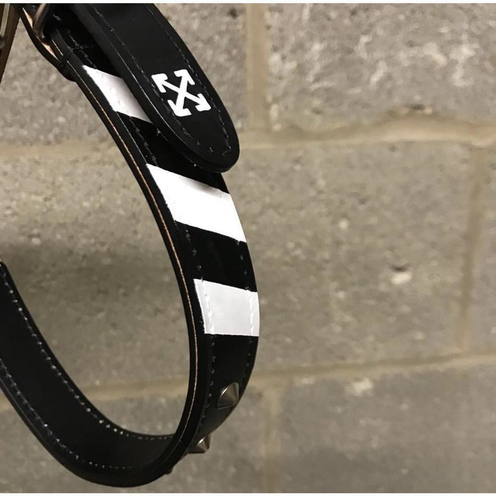 Quotation Mark Leather Collar featuring hand-painted details and nickel studs, designed for durability and style.