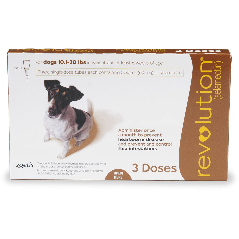 Revolution Brown topical treatment for small dogs, packaged in a tube, designed for parasite protection.
