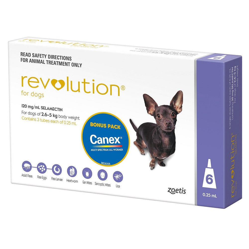 Revolution Purple for extra small dogs, a topical treatment tube designed to protect against fleas and heartworms.
