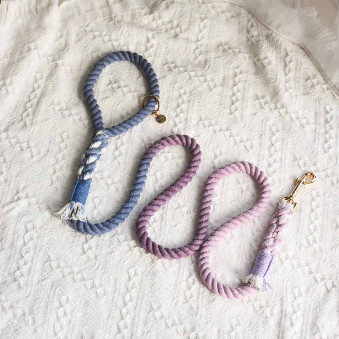 Beautiful Violet Rope Leash made from 100% cotton with luxe hardware and matching dog charm.