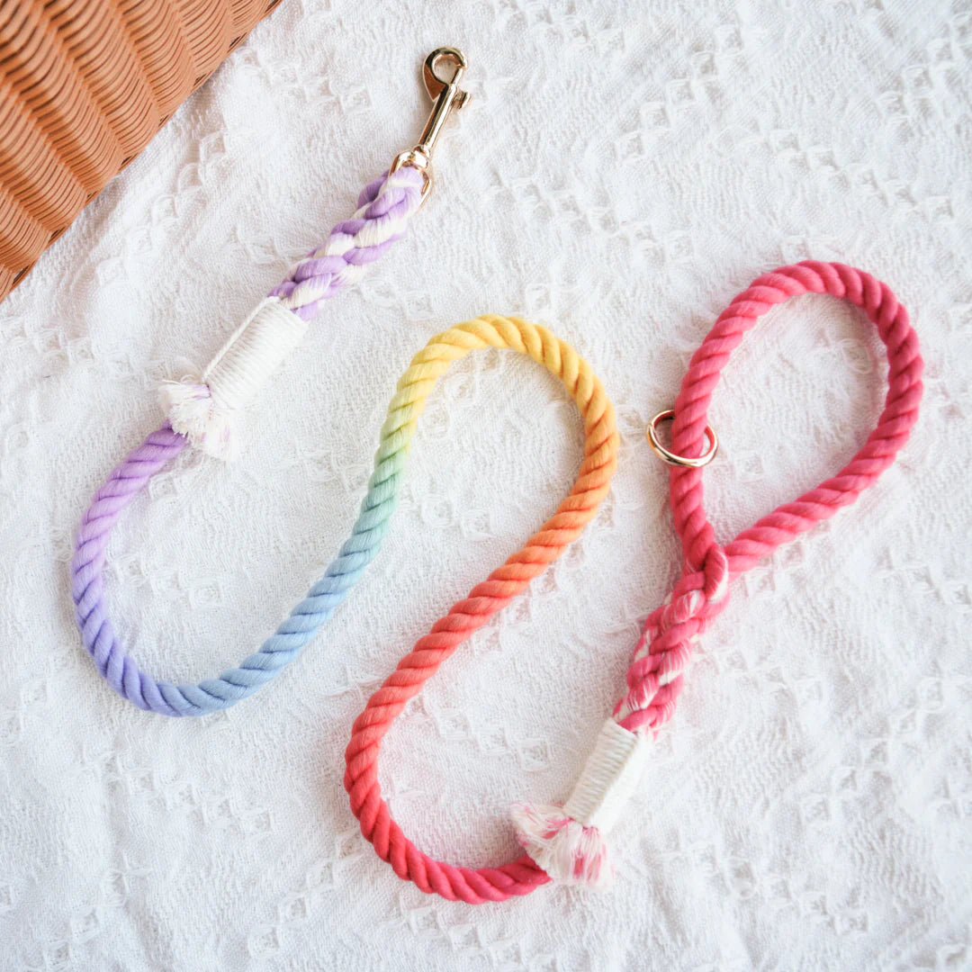 Colorful Dream Rainbow Rope Leash made from durable cotton with luxe hardware and charm.