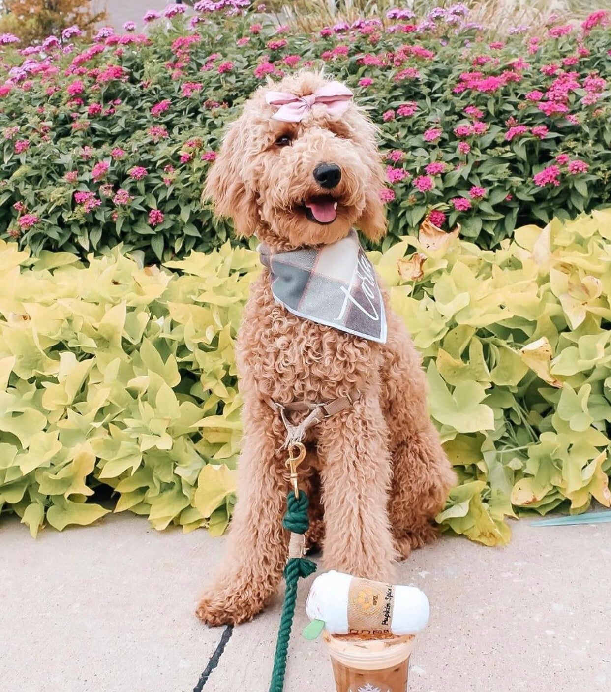 Emerald Rope Leash made of 100% cotton with luxe hardware and matching charm, showcasing vibrant green color.