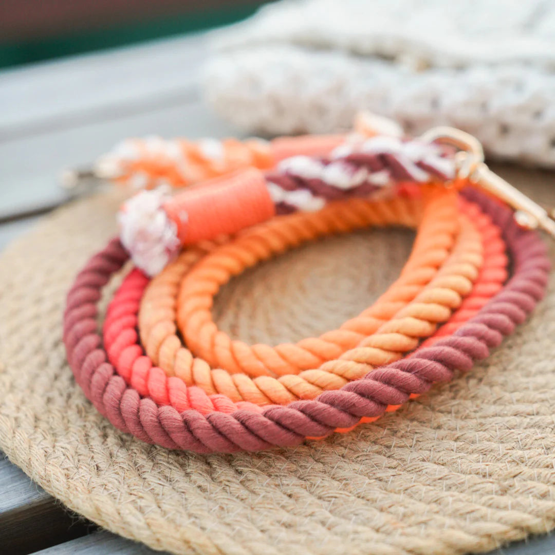 A vibrant Maple Rope Leash made from 100% cotton, featuring luxe hardware and a matching dog charm, perfect for stylish pet walks.