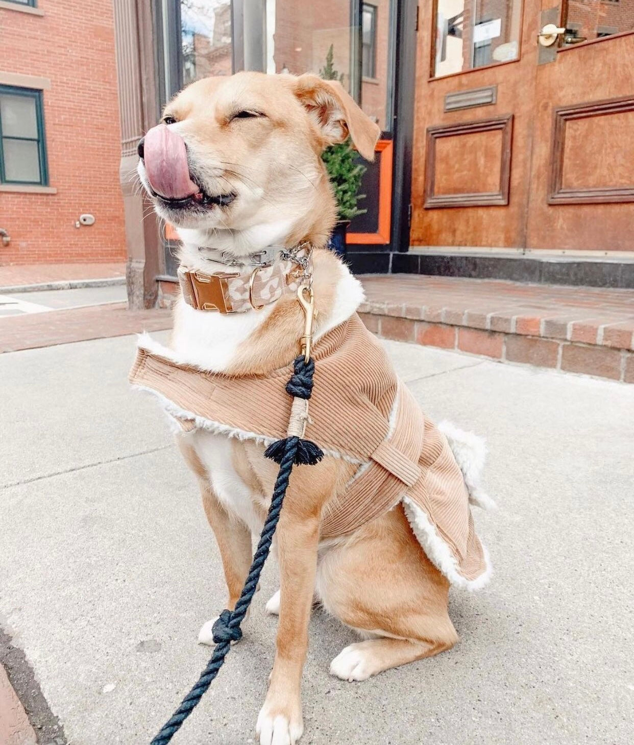 Pawsome Ombre Olive Rope Leash featuring luxe hardware and a matching charm, made from durable cotton rope.