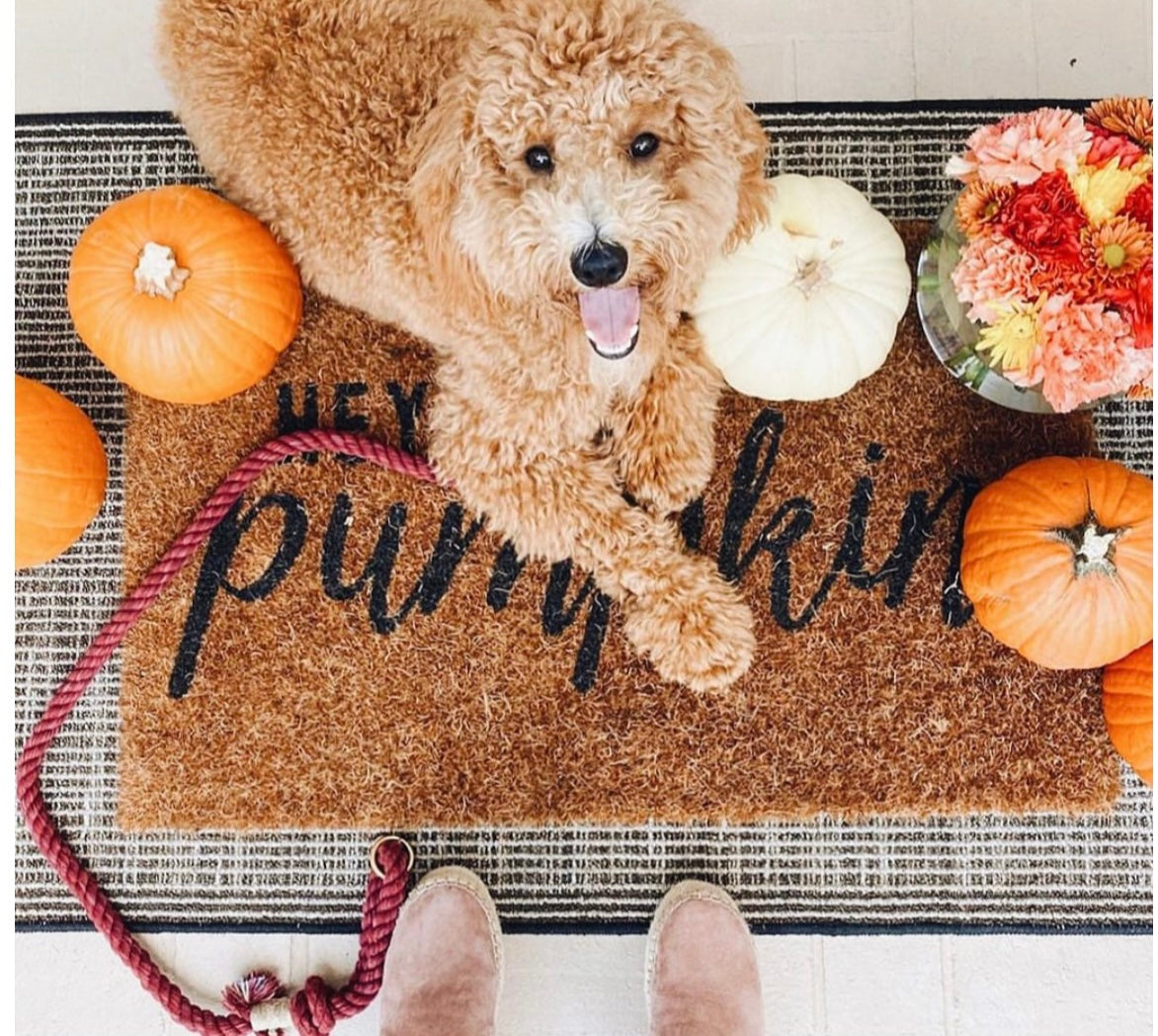 Ombre Pink Rope Leash made of durable cotton with luxe hardware and charm, perfect for stylish pet walks.