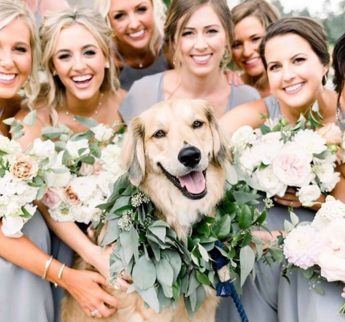 Ombre Pink Rope Leash made of durable cotton with luxe hardware and charm, perfect for stylish pet walks.