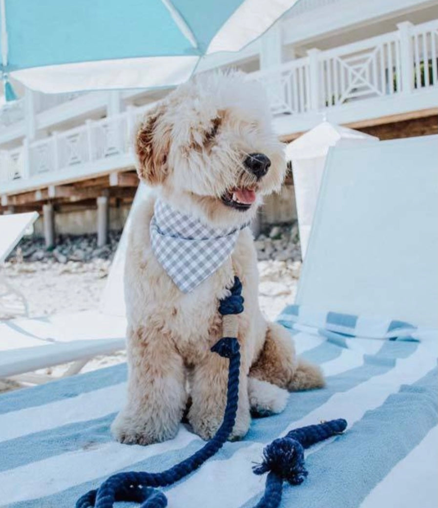 Ombre Purple Rope Leash made of durable cotton with luxe hardware and matching charm, showcasing a vibrant gradient design.