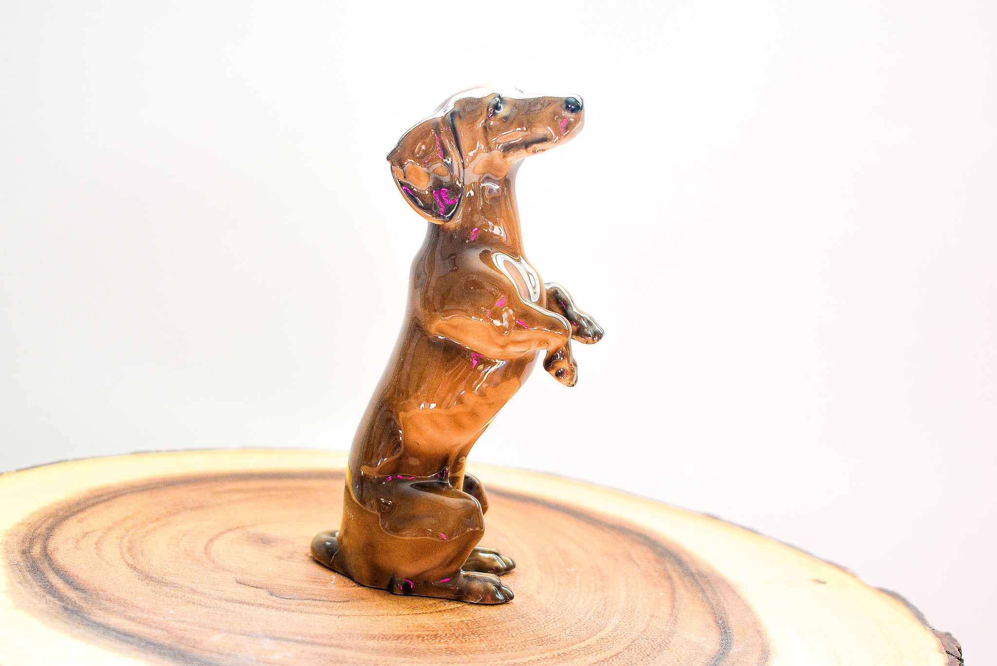 A detailed porcelain figurine of a Dachshund, showcasing its elongated body and expressive features, crafted by Rosenthal.