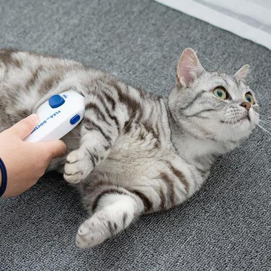 Electric Flea Comb for Cats, a sleek grooming tool designed to eliminate fleas safely and effectively without chemicals.