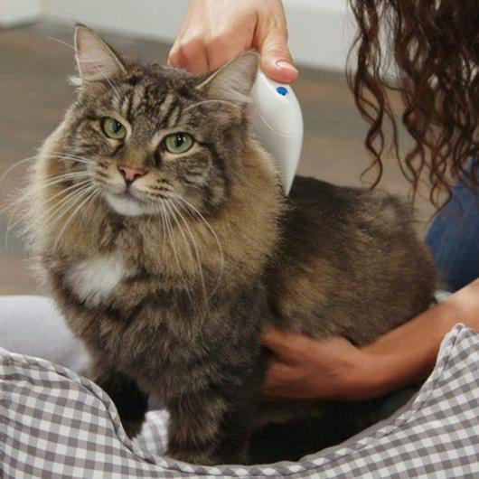 Electric Flea Comb for Cats, a sleek grooming tool designed to eliminate fleas safely and effectively without chemicals.