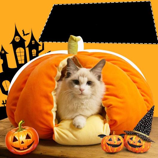 Extra Plush Cat Pumpkin Bed in vibrant orange color, designed for comfort and warmth, featuring a cute pumpkin shape.