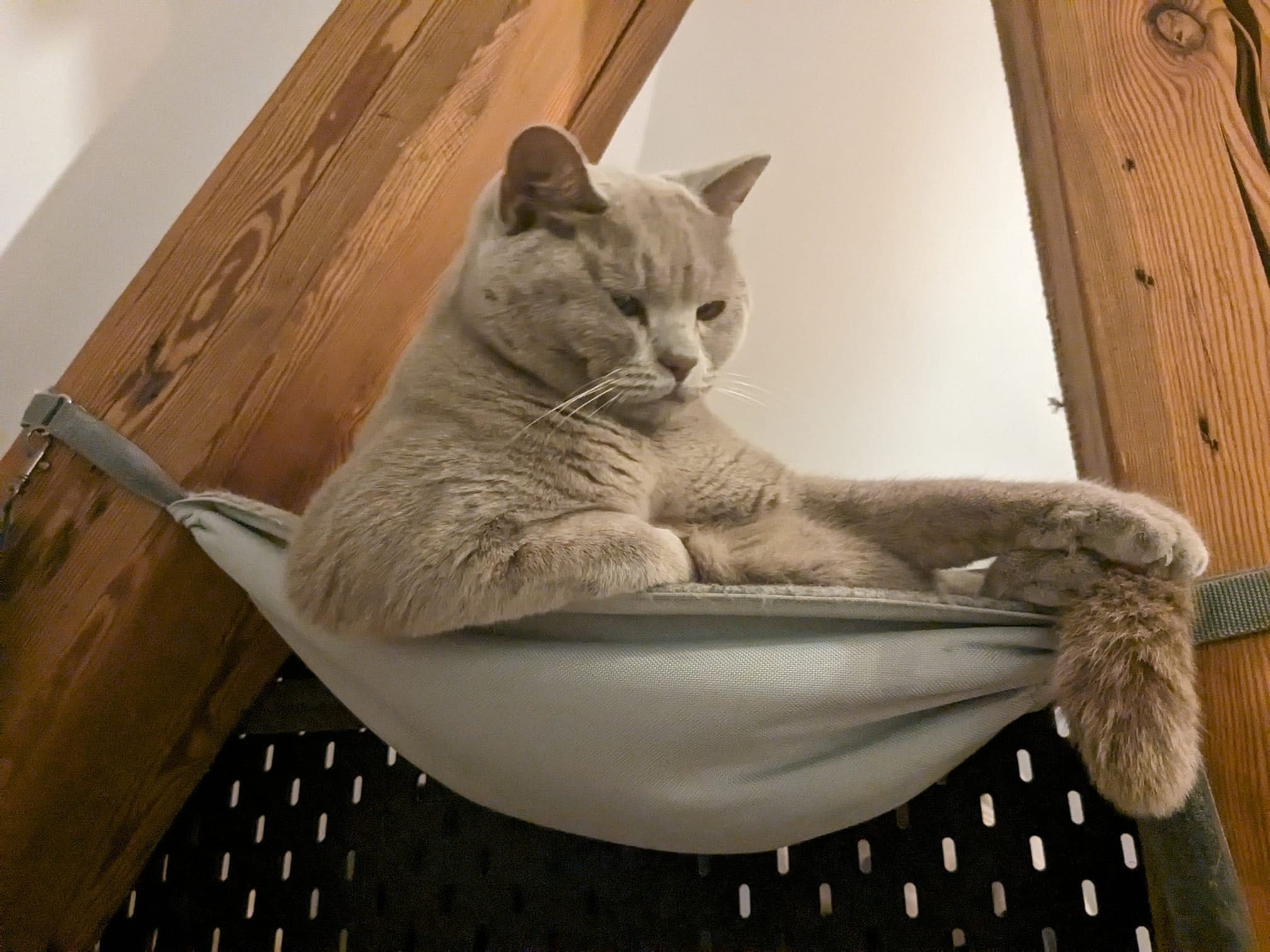 Saveplace® Custom Size Pet Felt Hammock with adjustable straps, designed for comfort and style for cats.