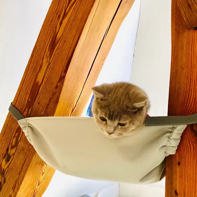 Saveplace® Custom Size Pet Felt Hammock with adjustable straps, designed for comfort and style for cats.