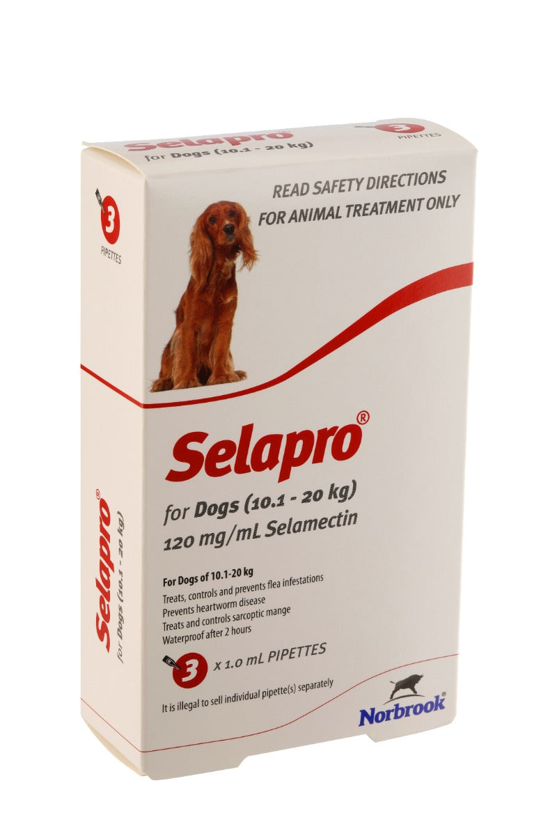 Selapro Flea & Heartworm Spot On Treatment for dogs, featuring packaging and application instructions, suitable for dogs weighing 10.1-20kg.