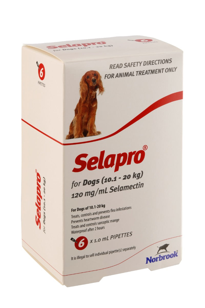 Selapro Flea & Heartworm Spot On Treatment for dogs, featuring packaging and application instructions, suitable for dogs weighing 10.1-20kg.