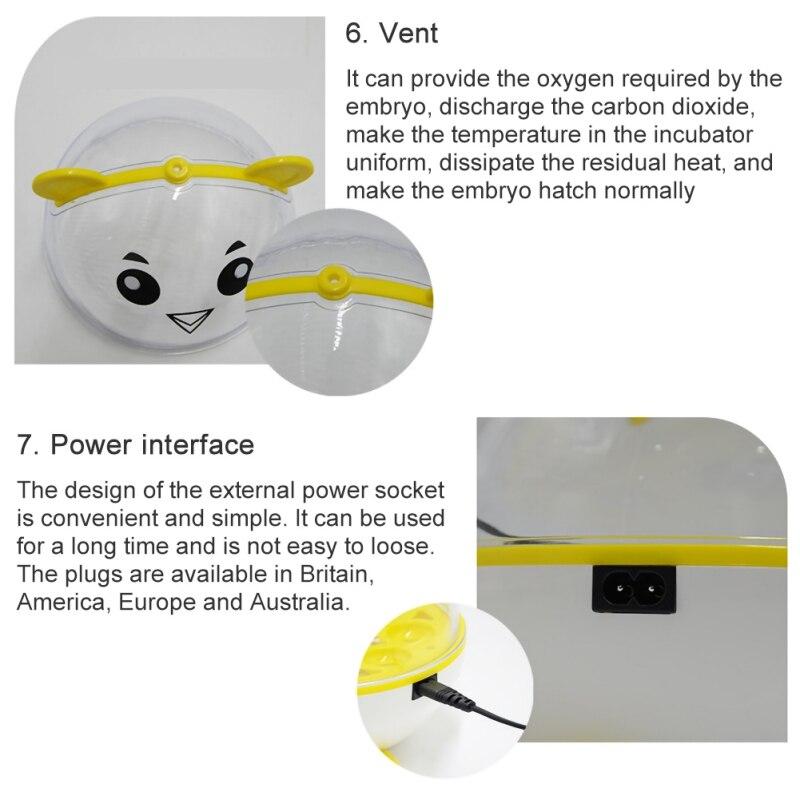 Semi-automatic chicken eggs incubator made of durable plastic, designed for temperature-controlled hatching of chicken eggs.