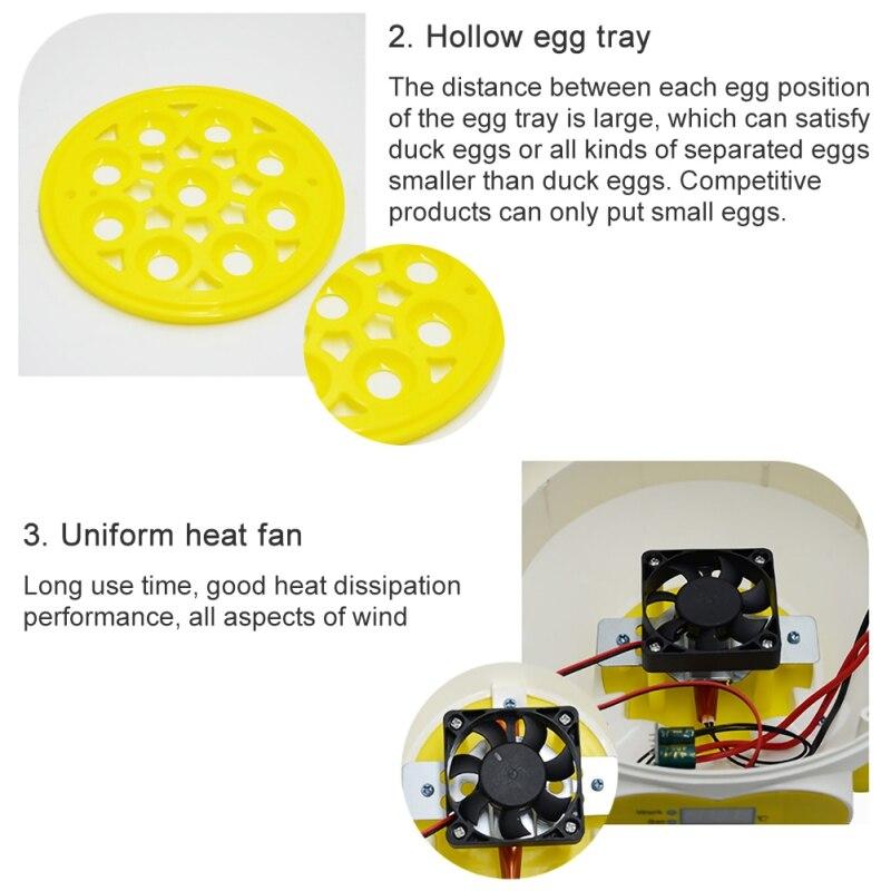 Semi-automatic chicken eggs incubator made of durable plastic, designed for temperature-controlled hatching of chicken eggs.