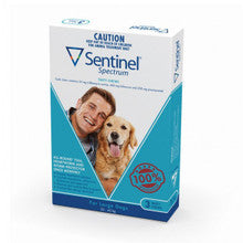 Sentinel Spectrum Tasty Chews for Large Dogs in a pack, designed for monthly parasite prevention and control.