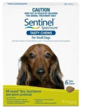 Sentinel Spectrum Tasty Chews for small dogs, packaged in a 6 pack, designed for effective parasite control and prevention.