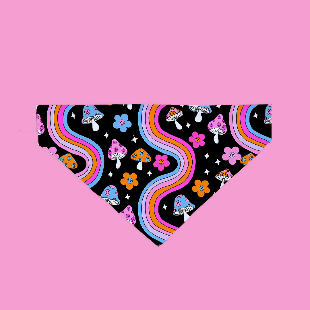 A colorful Shroomin Bandana featuring vibrant mushroom patterns, designed for dogs to wear comfortably over their collars.
