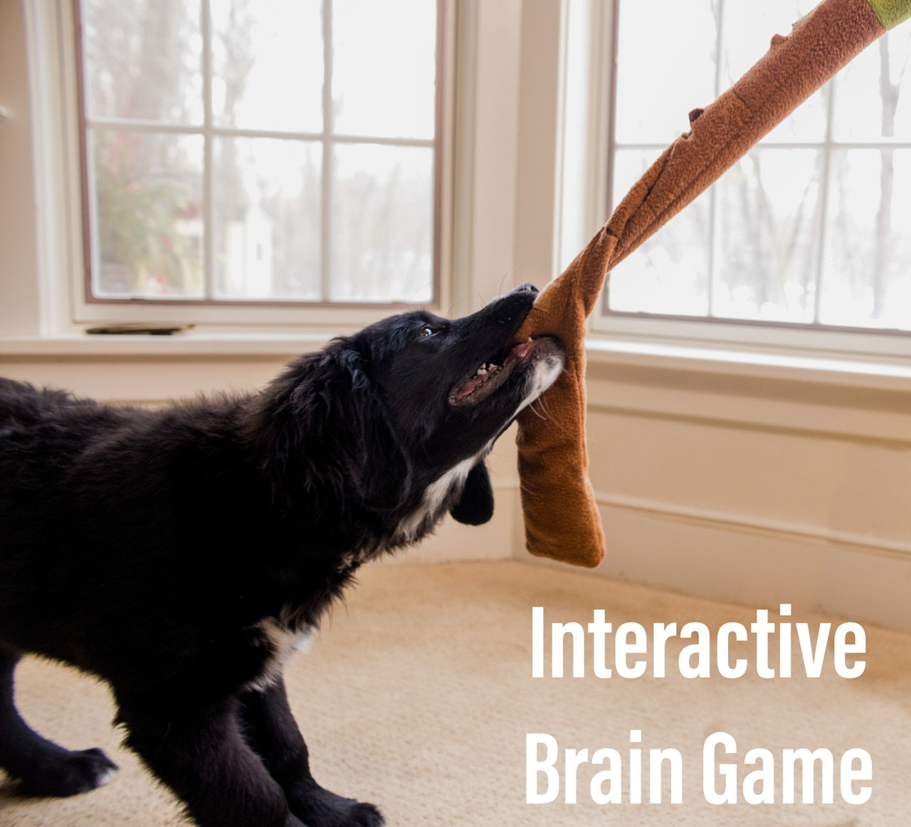 A colorful Snail Rollup snuffle toy designed for dogs, featuring multiple folds for hiding treats and promoting slow feeding.