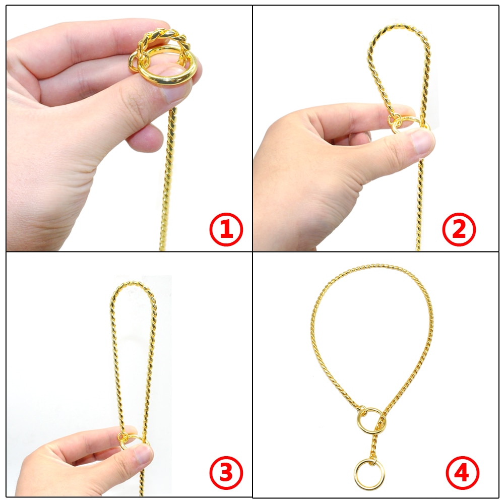 Hand showing gold chain collar assembly.