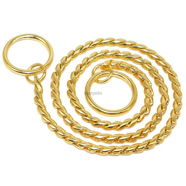 Gold-colored coiled pet leash.