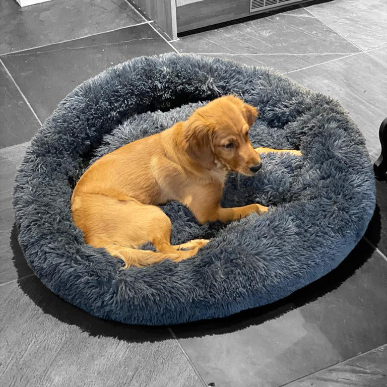 Soft Calming Donut Bed for Dogs and Cats, featuring a plush, fluffy design with raised edges for comfort and security.